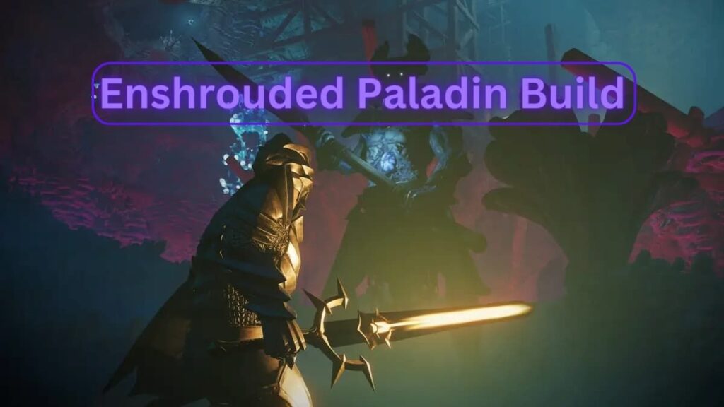 enshrouded paladin build