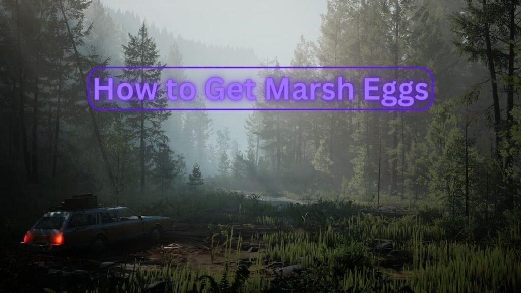 How to get Marsh Eggs in Pacific Drive